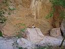 080_zion.jpg